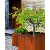 Photo of Campania Steel Cube Planter - Steel - Set of 2 - Exclusively Campania